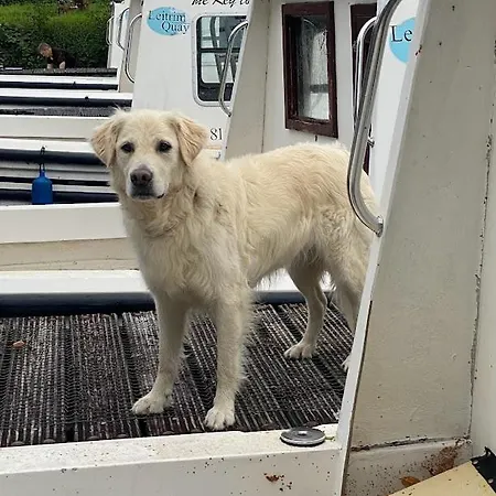 Leitrim Quay - Riverside 3 * County Leitrim