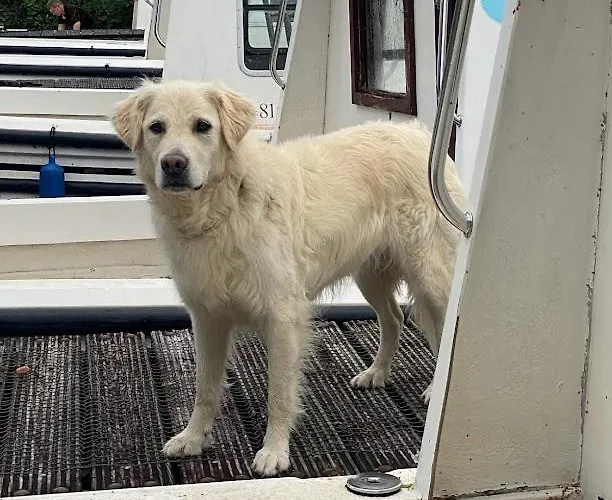 Leitrim Quay - Riverside 3 * County Leitrim